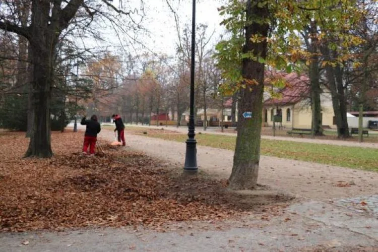 V přerovském parku Michalo začalo ořezávání stromů. Město vyzývá návštěvníky, aby dávali pozor