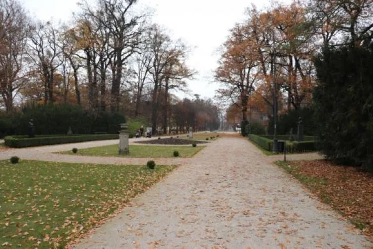 V přerovském parku Michalo začalo ořezávání stromů. Město vyzývá návštěvníky, aby dávali pozor