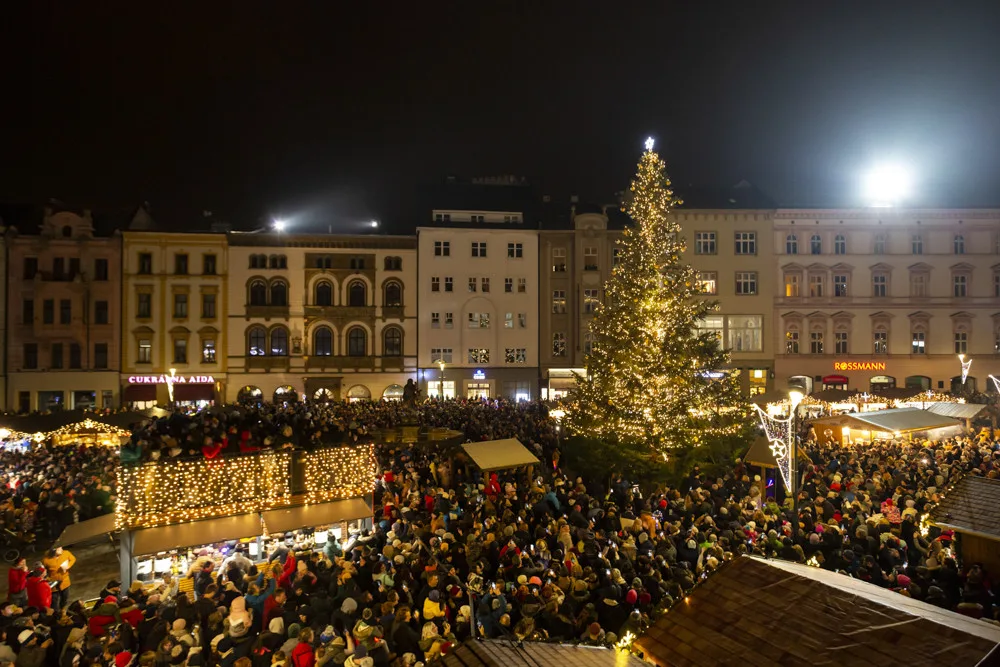 Rozsvícení stromu v Olomouci přilákalo davy. Jedle dostala jméno Perníček