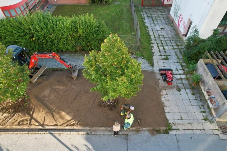 Nové stromy, záhony a trávníky. I takový byl olomoucký podzim