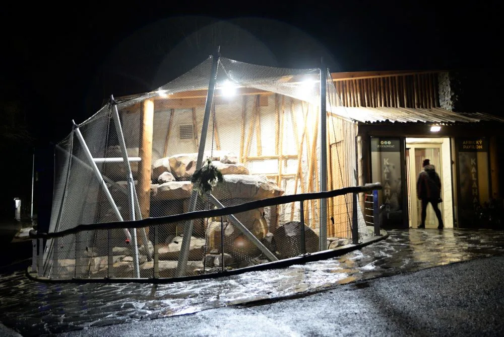 Olomoucká zoo láká návštěvníky na Vánoční program. Zavítat tam můžete i během Štědrého dne