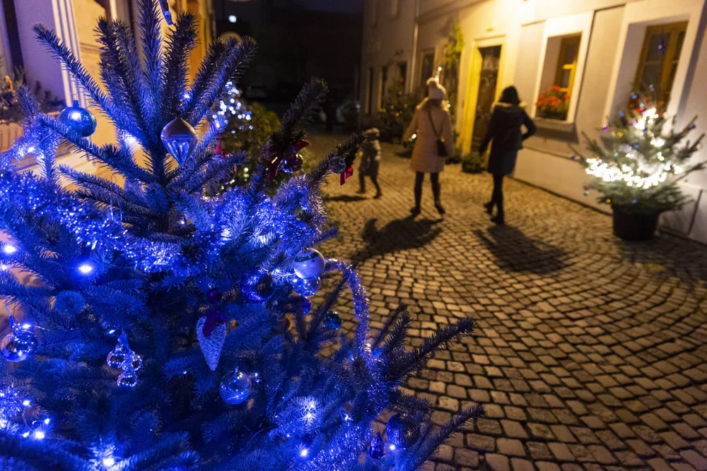 Sváteční ulička v centru Olomouce. Již podruhé ji rozzářily vánoční stromky