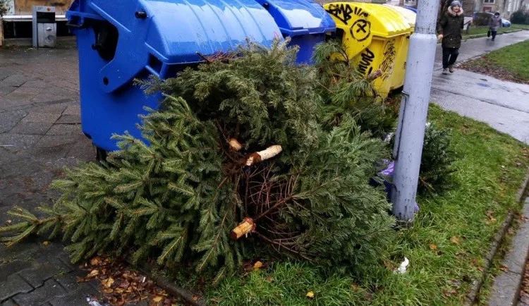 size3-16717836774277-139-jak-spravne-vytridit-vanocni-odpad-podivejte-se-na-zaludnosti-ve-kterych-se-nejcasteji-chybuje
