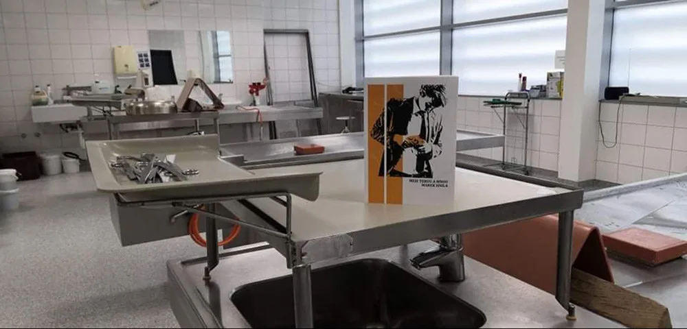 Kniha přináší příběh studenta, který se rozhodne změnit životní dráhu a věnovat se práci fotografa v ústavu soudního lékařství