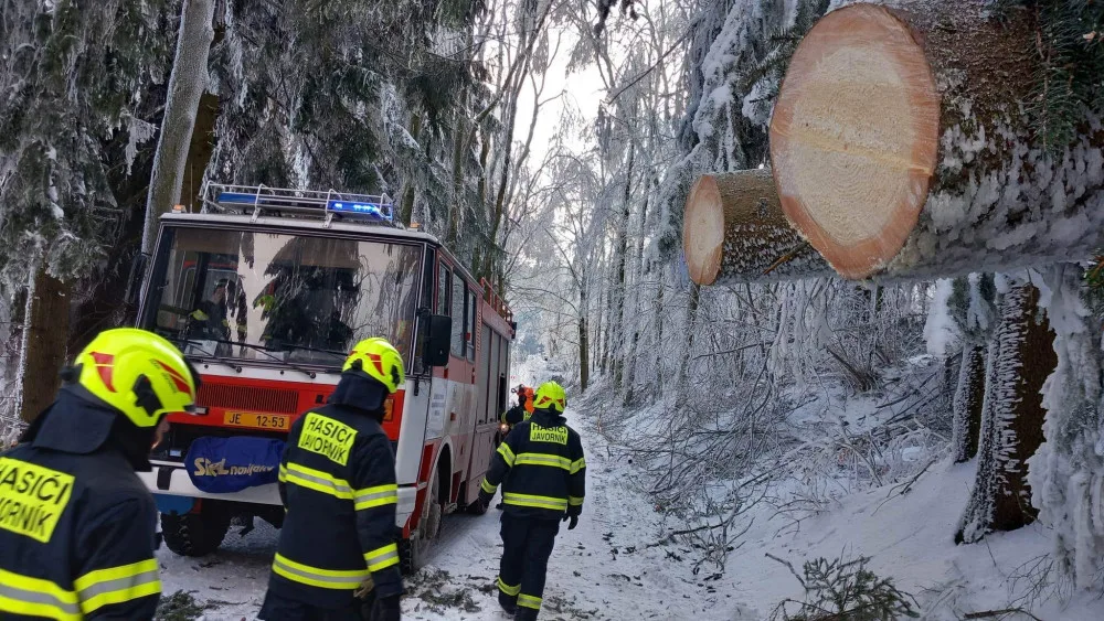 Kalamita na Jesenicku. Kvůli námraze padají stromy, cesty jsou uzavřené, elektřinu dodávají generátory
