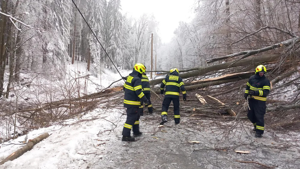 Kalamita na Jesenicku. Kvůli námraze padají stromy, cesty jsou uzavřené, elektřinu dodávají generátory