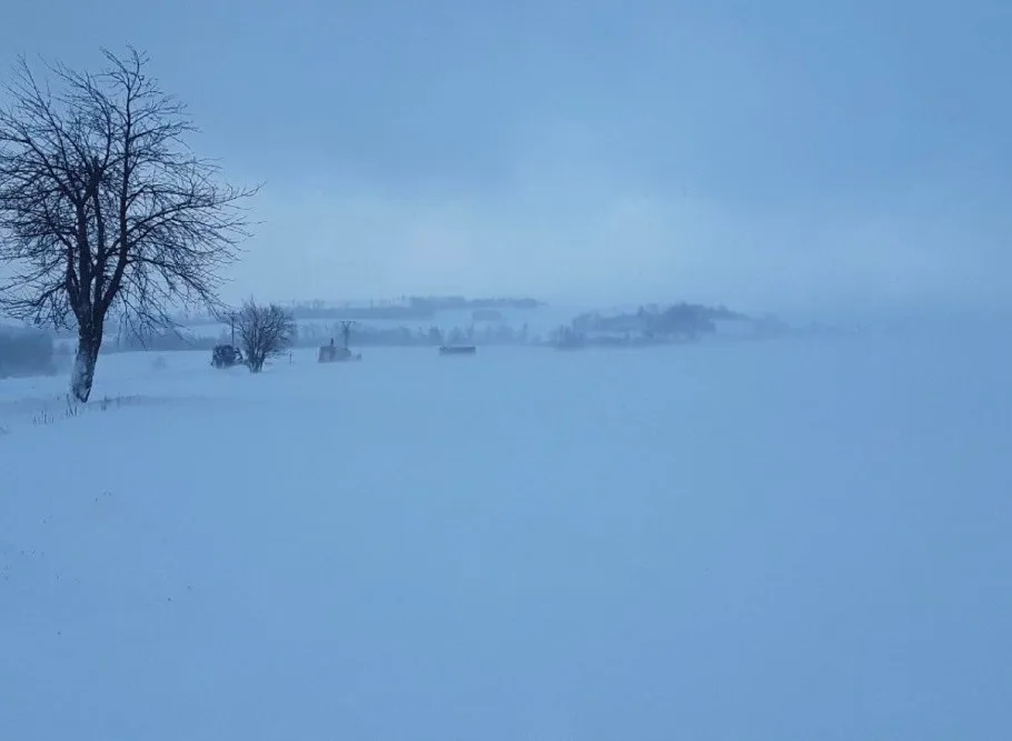 FOTOGALERIE: Hasiči řešili přes 150 zásahů kvůli větru. Nejvíc na Šumpersku a Jesenicku