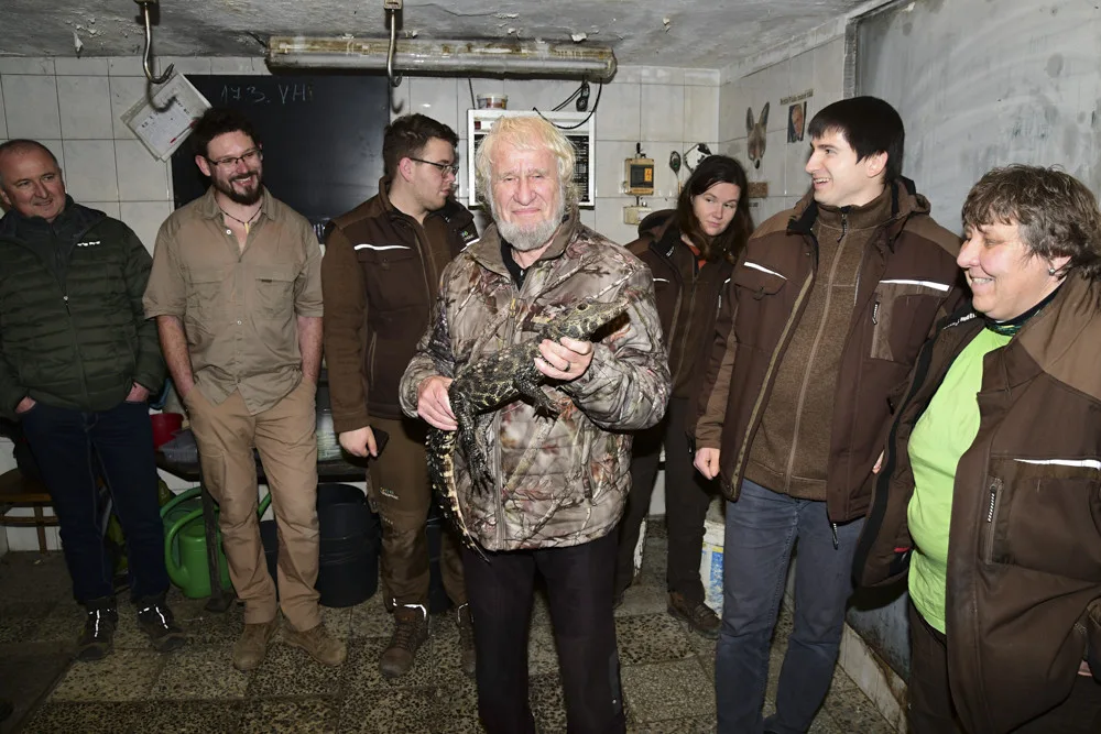 VIDEO: Úspěšné sexování olomouckých krokodýlů: zoo na Svatém Kopečku hlásí pět samců