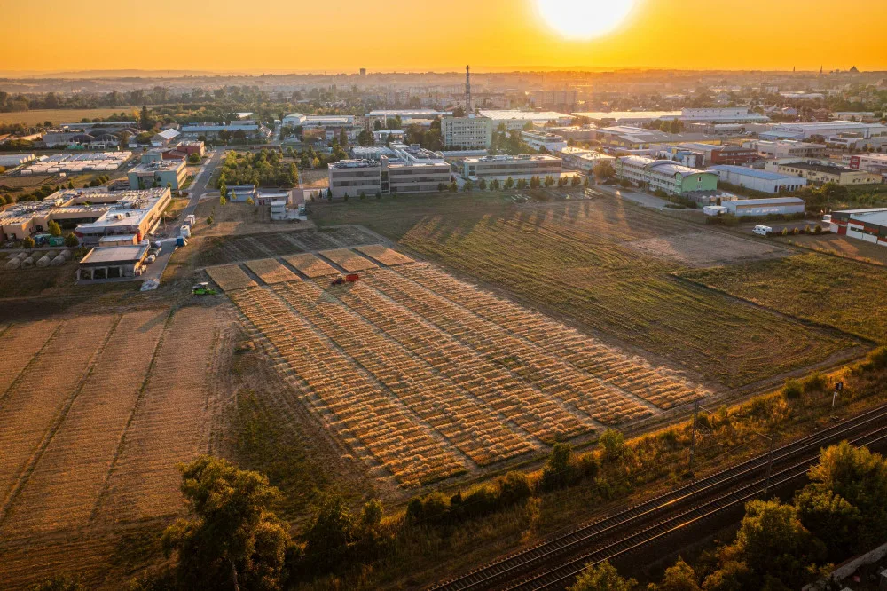 2500_DJI_0887