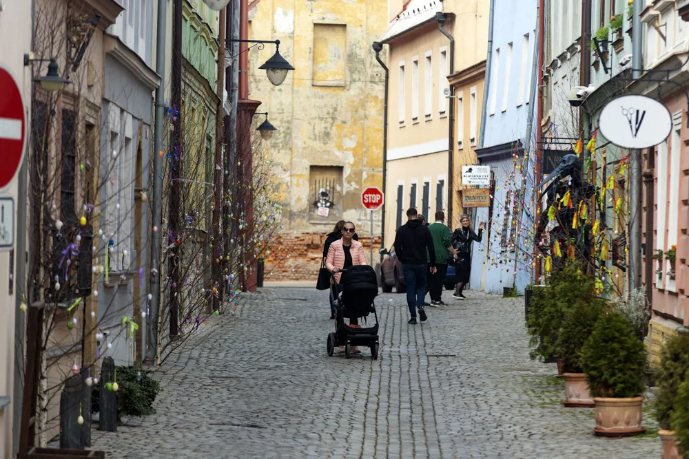 Pestrobarevná krása: kraslicovníky rozzářily uličku v centru Olomouce