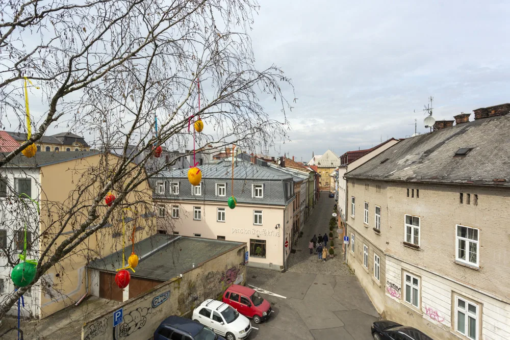 Pestrobarevná krása: kraslicovníky jarně oživily uličku v centru Olomouce