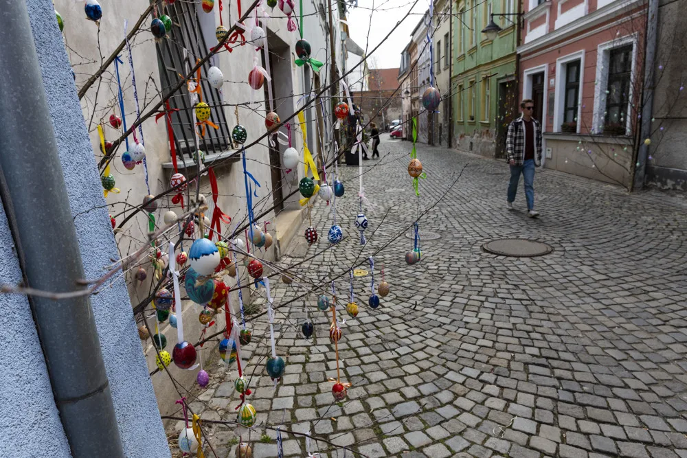 Pestrobarevná krása: kraslicovníky jarně oživily uličku v centru Olomouce