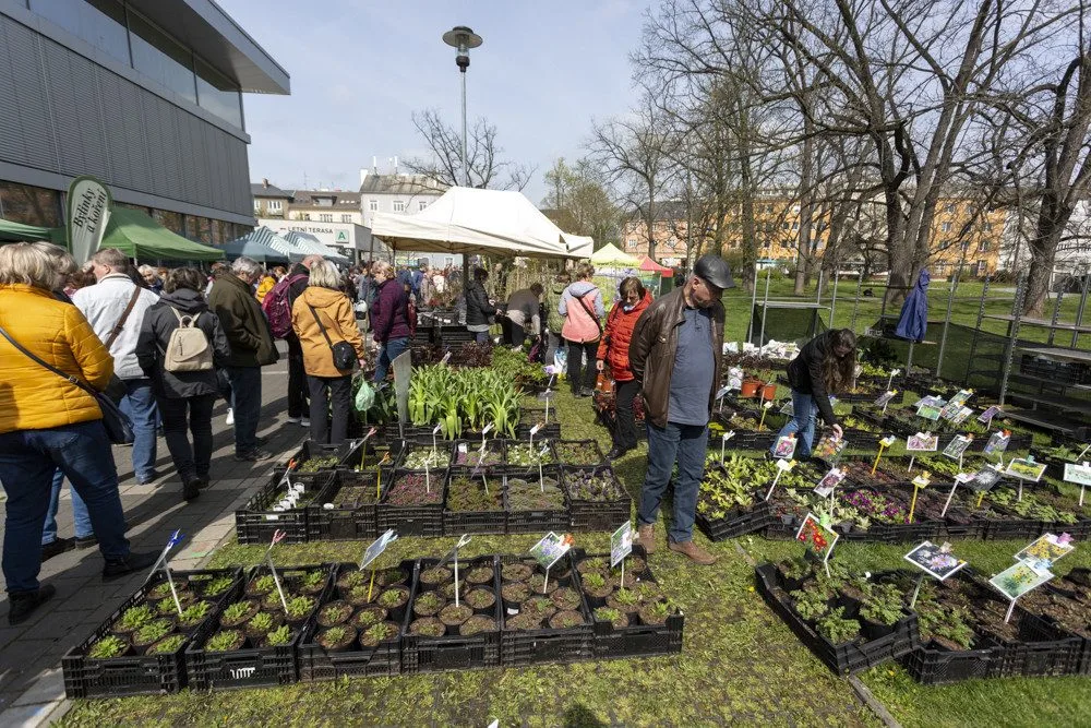 FOTOGALERIE: Záplava květin i návštěvníků. Jarní Flora lákala od úvodních hodin davy