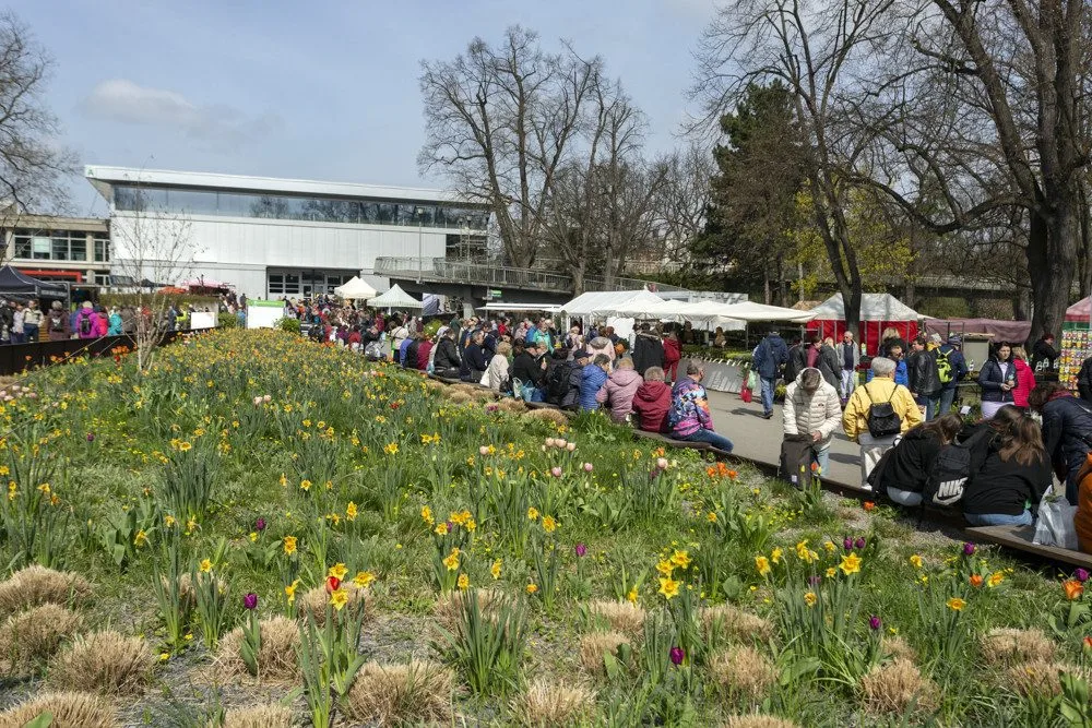 Jarní etapa výstavy Flora Olomouc 2023