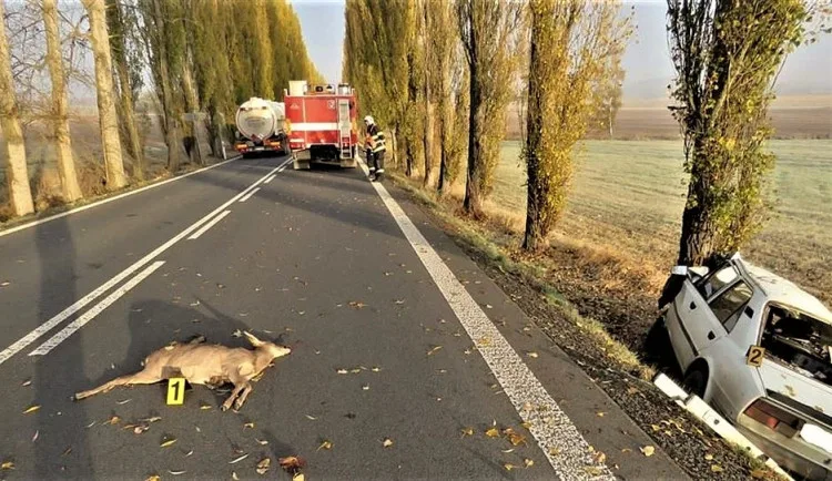 ilustrační foto