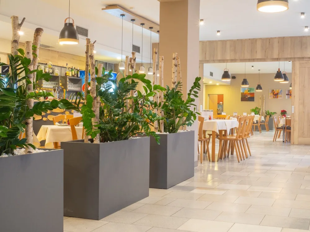 Kvalitní poctivá kuchyně, prostory pro jakoukoliv akci a kompletní servis. To je prostějovská restaurace U Tří bříz