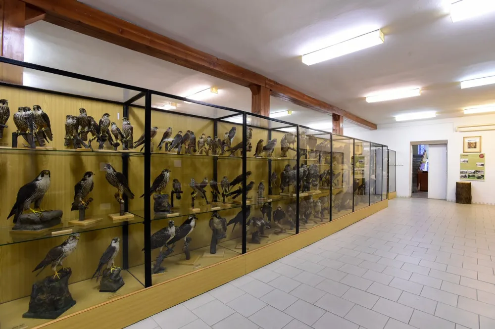 Ornitologická stanice v Přerově má nové zázemí. Expozice Ptáci Česka bude otevřena koncem léta
