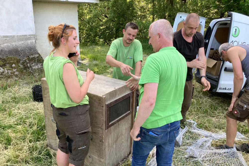 VIDEO: Toulavý nandu od Olomouce už má nový domov, odchyt zvládli odborníci ze Zoo Olomouc