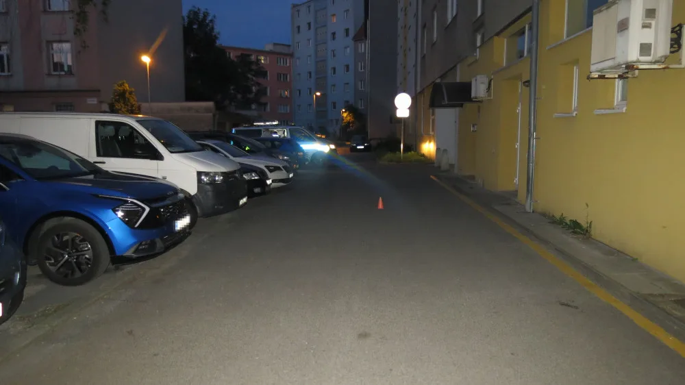 DN chodkyně (2)