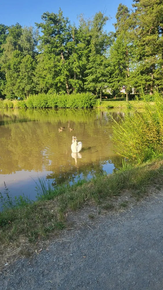 ilustrační foto