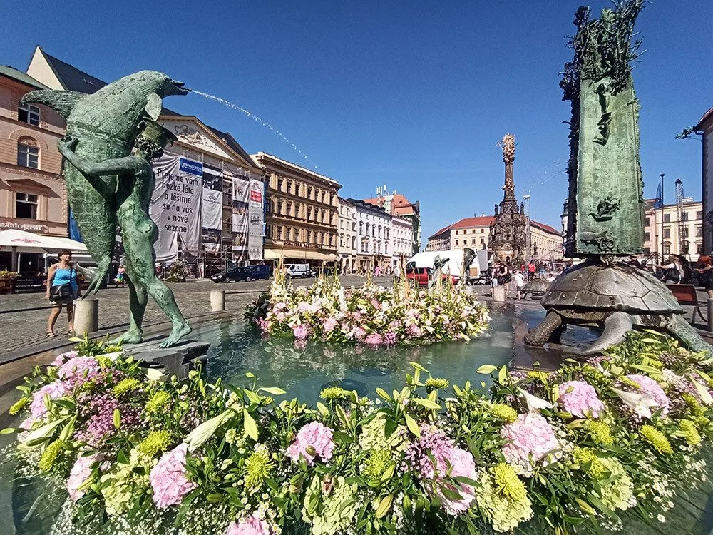 Květinová koruna zdobí Arionovu kašnu v Olomouci. Brzy bude v plné kráse