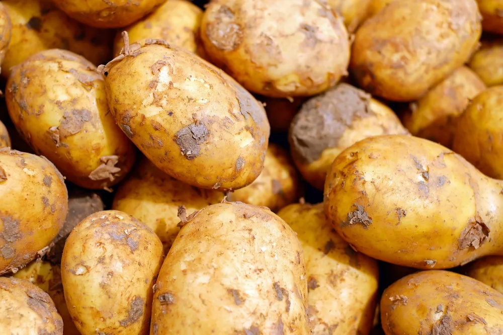 potatoes-2329648_1280