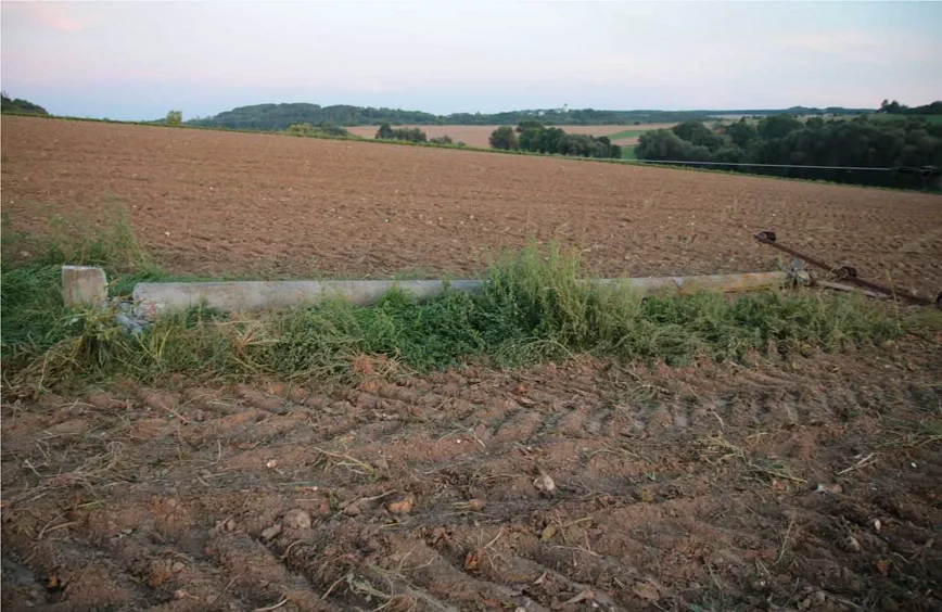 S vyvážečkou řepy strhl mladík sloupy elektrického vedení. Výpadek postihl čtyři obce u Litovle