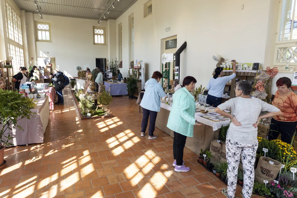 FOTOGALERIE: Československo středobodem Flory. V Olomouci začala tradiční zahradnická výstava