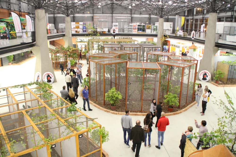 Raritní amazoňan, veliký ara či tukani. Výstaviště v Olomouci bude patřit exotům
