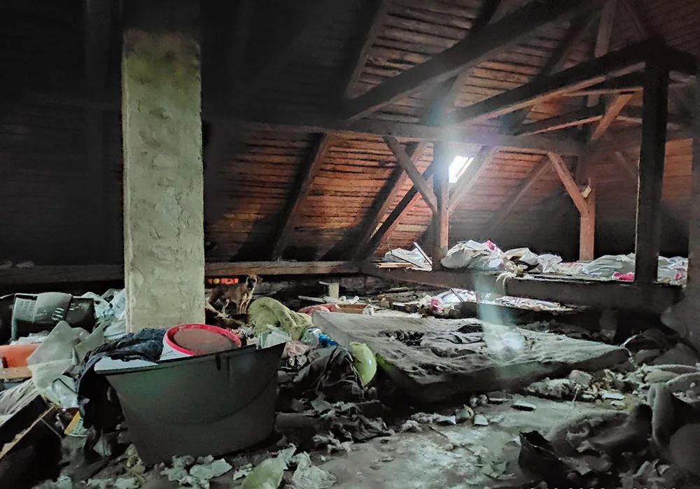 Svého psa držel chovatel ze Šternberska v neuklizených půdních prostorách starého bytového domu