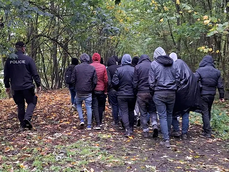 Skupinu šestadvaceti migrantů ze Sýrie vypátral policejní pes Umpalumpa. Ukrývali se u Mohelnice v lese