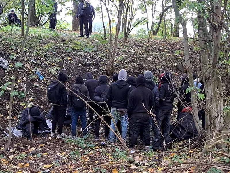 Skupinu šestadvaceti migrantů ze Sýrie vypátral policejní pes Umpalumpa. Ukrývali se u Mohelnice v lese