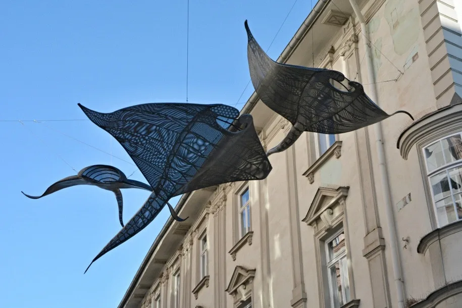 Olomouckou Opletalovou ulicí plují manty. Od místních sklízí pozitivní ohlasy
