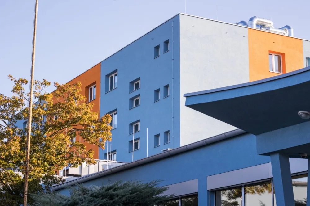 Opravená škola v Mohelnici má desítky hnízdních boxů pro rorýse obecné. Létají až 220 kilometrů za hodinu