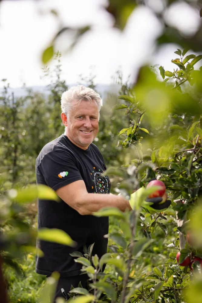 Kofola kupuje Pragerovy sady na Šumpersku. Bude zde pěstovat ciderovou odrůdu jablek