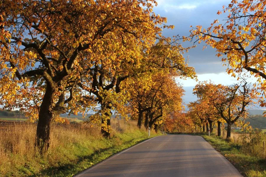 Nový Malín