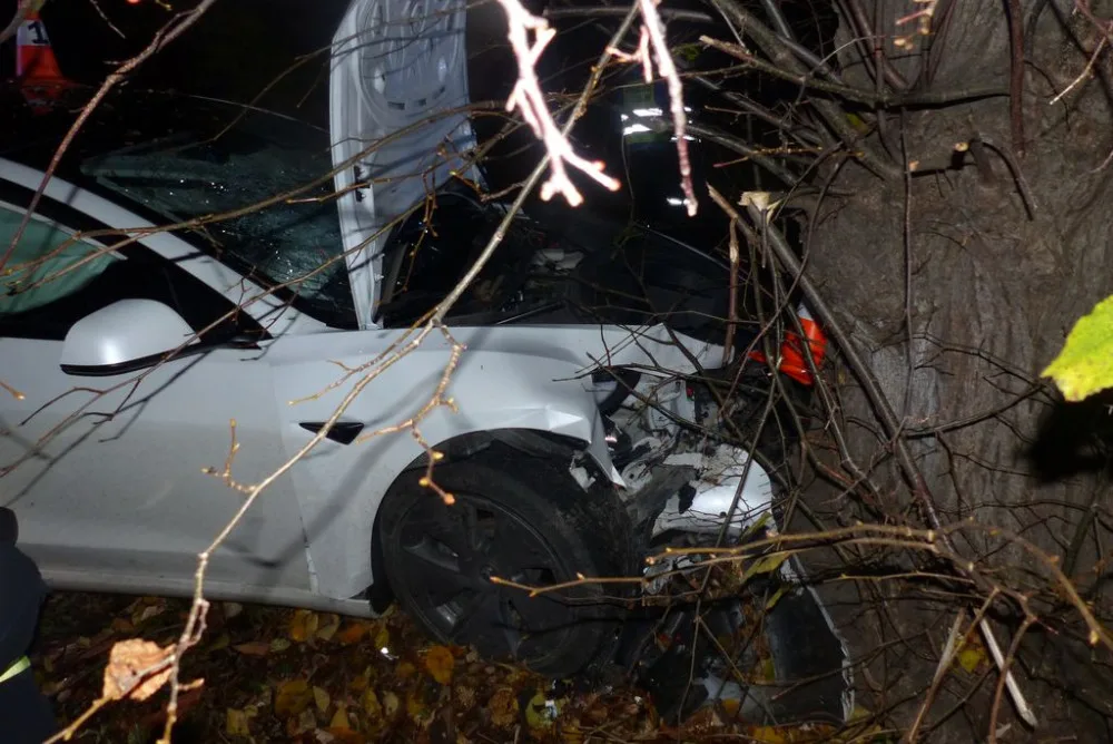Řidič Tesly se u Žulové lekl protijedoucího vozu a narazil do stromu. Škoda vystřelila na milion korun