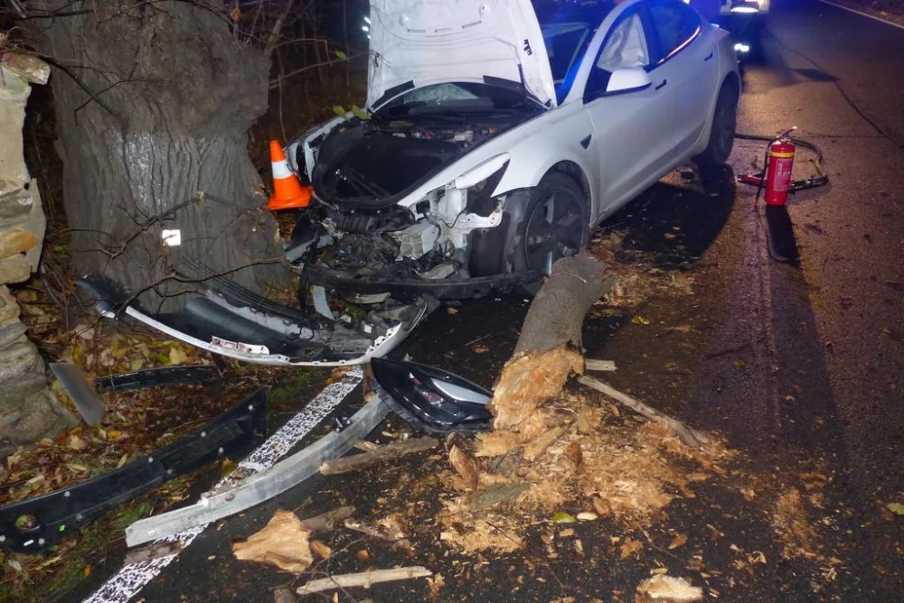 Řidič Tesly se u Žulové lekl protijedoucího vozu a narazil do stromu. Škoda vystřelila na milion korun