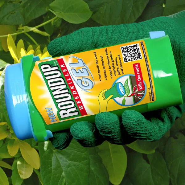 Roundup přežil. Nejznámější hubič plevele dostal v zemích EU povolení na dalších 10 let