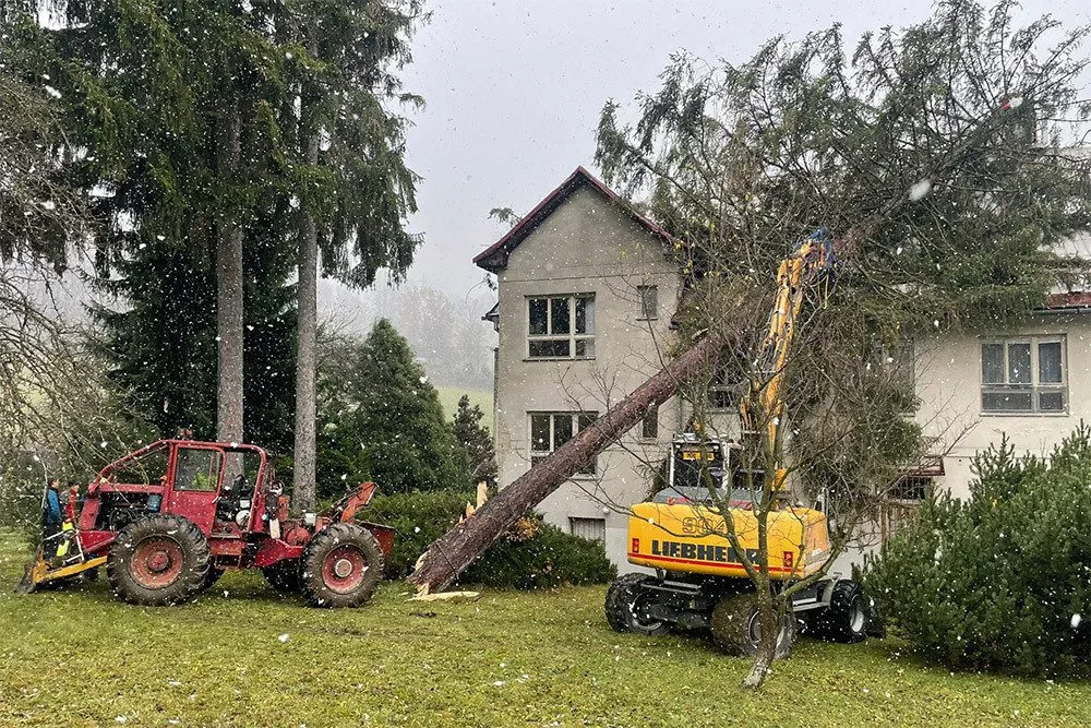 Na budovu školy v Jeseníku spadl mohutný strom, na místě zasahují hasiči