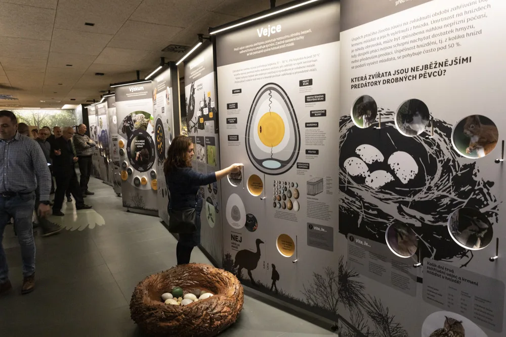 FOTOGALERIE: Jedinečná ptačí říše v Přerově. Po rekonstrukci se otevře muzeum Ornis