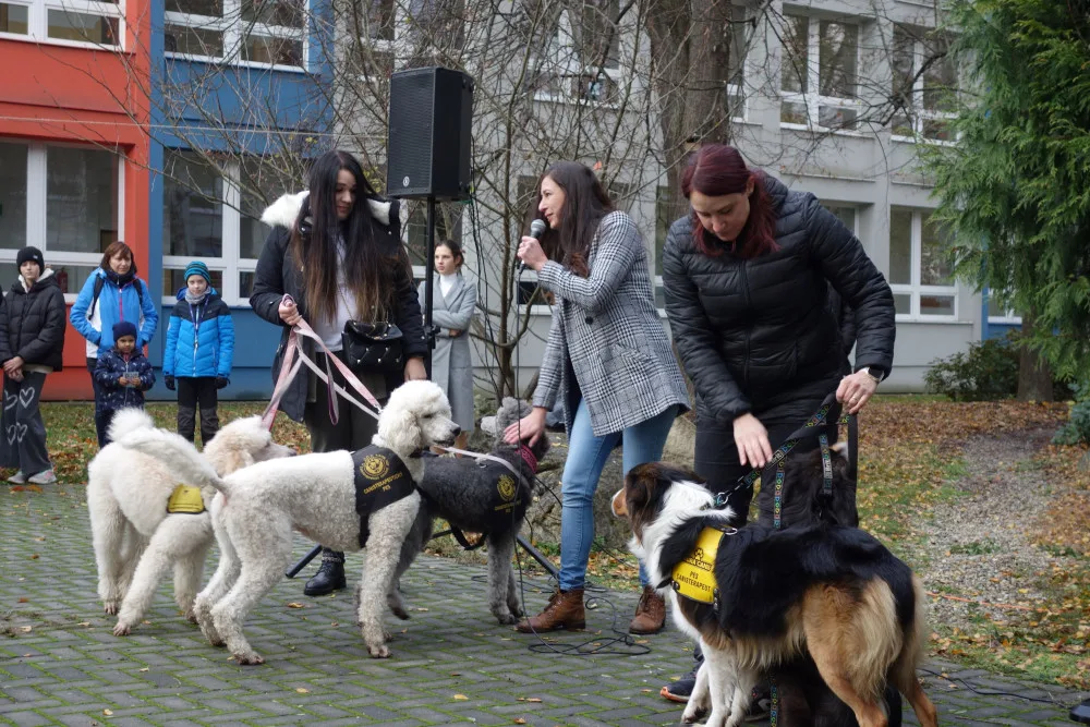VIDEO: Studenti olomouckého gymnázia nazpívali nový klip. Píseň je spojená se sbírkou pro nemocné