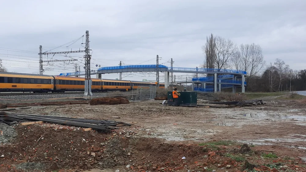 Náhradní výsadba za pokácené stromy u D1 až za pět let? To je špatně, rozhodl soud