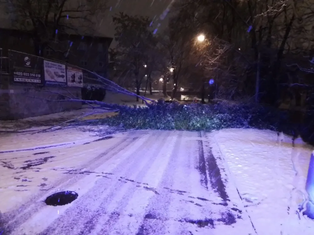 Hasiči se nezastavili, evidují přes 120 výjezdů. Těžký sníh lámal stromy, u Hluboček měl nehodu osobní vlak