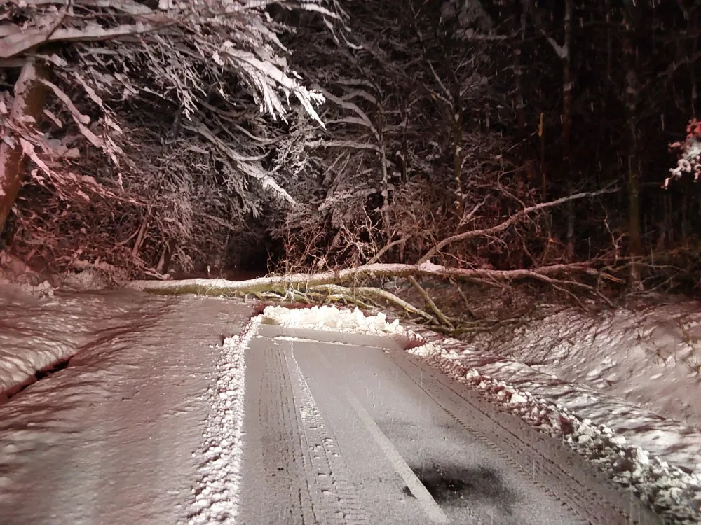Hasiči se nezastavili, evidují přes 120 výjezdů. Těžký sníh lámal stromy, u Hluboček měl nehodu osobní vlak