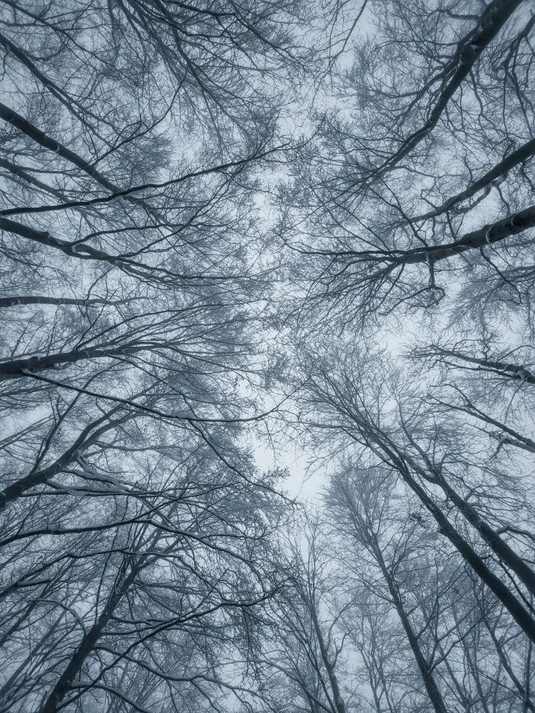 TIP NA VÝLET: Kam na Silvestra nebo na Nový rok? Hrad Rabštejn nabízí pohádkovou atmosféru