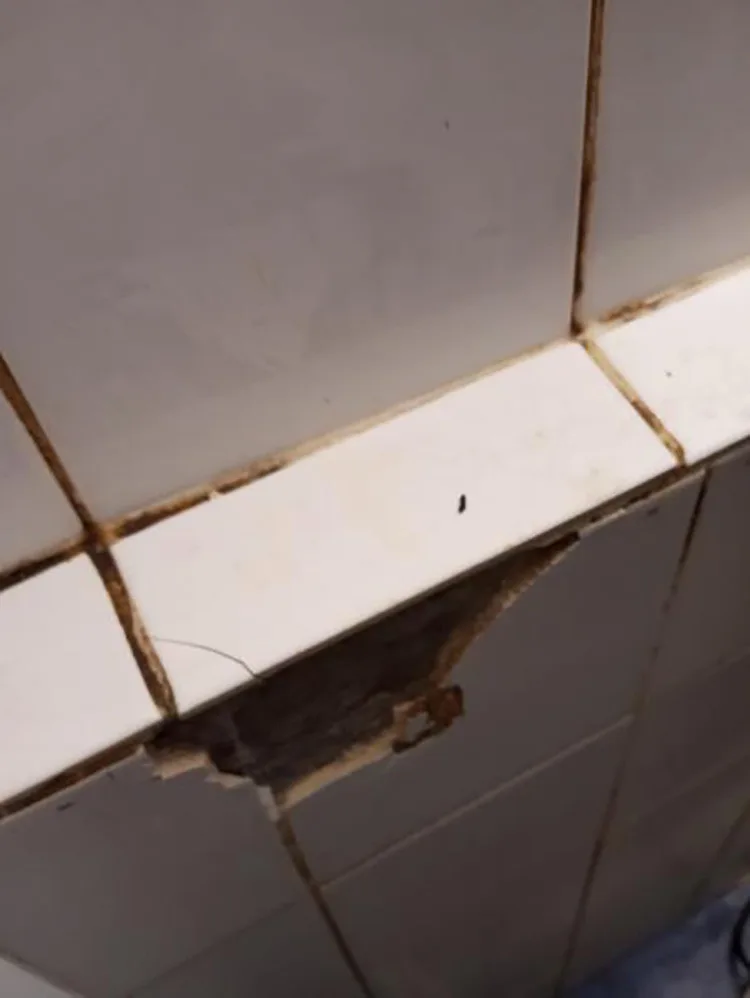 Znečištěné prostory i trus hlodavců. Inspektoři zavřeli kuchyň restaurace v centru Prostějova