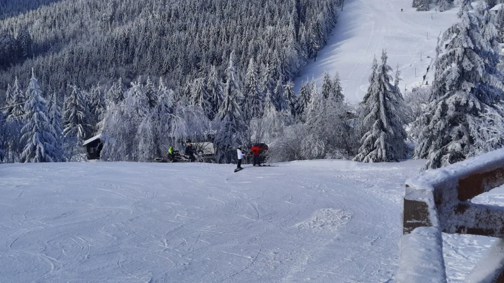 Svědci vyfotili motorky, které o víkendu pustošily hřebeny Jeseníků. Lidé si stěžovali na smrad a hluk