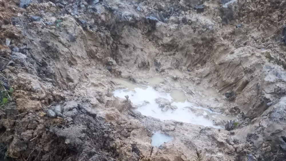 Pejsek Benny ze Šumperska, kterého někdo střelil do hlavy a zahrabal, se zotavuje. Unie našla jeho hrob