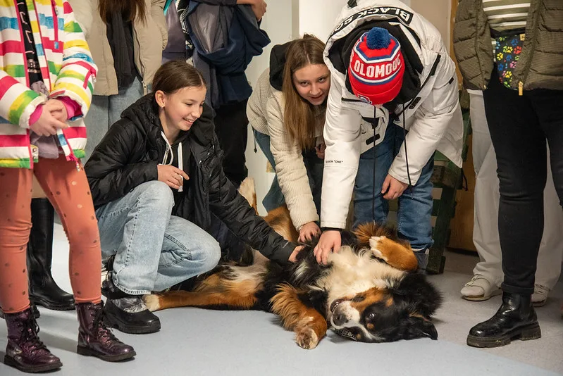 Studenti a učitelé olomouckého gymnázia uspořádali sbírku na canisterapii. Vynesla 80 tisíc korun